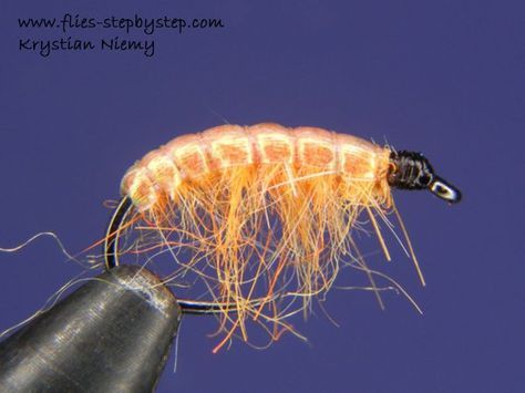 Orange scud - How to tie fly, Fly tying Step by Step Patterns & Tutorials Fly Fishing Colorado, Fly Fishing Flies Pattern, Fly Fishing Tips, Fly Patterns, Fly Tying Patterns, Fishing Techniques, Pattern Steps, Sport Fishing, Gone Fishing