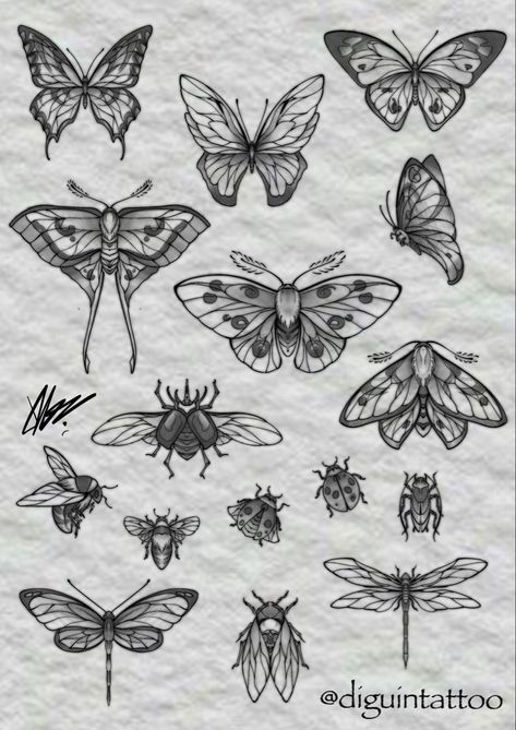 Bug Tattoo Blackwork, Floral And Bug Sleeve Tattoo, Bug Sleeve Tattoo, Insect Sleeve Tattoo, Insect Tattoo Sleeve, Butterfly Neotraditional, Traditional Insect Tattoo, Traditional Tattoo Nature, Insect Tattoo Design