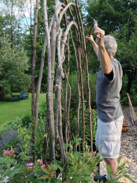 How to Build a Rustic Trellis - Ellen Ecker Ogden Diy Bamboo Arch, Morning Glory Trellis, Rustic Trellis, Rustic Arbor, Garden Archway, Rustic Pergola, Arbors Trellis, Diy Garden Trellis, Arch Trellis