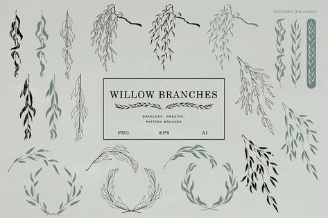 Willow branches on Behance Branch Tattoo, Willow Branches, Adobe Photoshop Elements, Willow Pattern, Spring Is Coming, Holly Leaf, Logo Fonts, Unique Fonts, Christmas Vectors