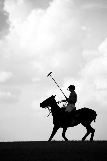 The association between St. Regis and polo emerged early in the 20th century, when both the sport and The St. Regis New York became part of New York's vibrant summer social scene. St Regis New York, Nacho Figueras, Study Wall, Polo Horse, Polo Team, Sport Of Kings, Polo Match, Where It All Began, Polo Pony