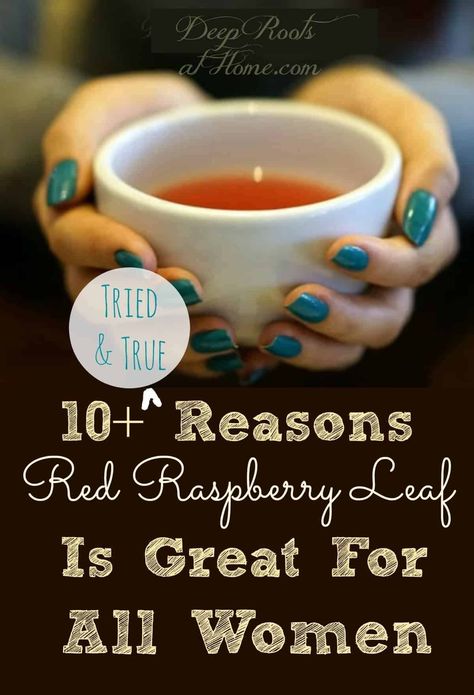 Raspberry Leaf Tea Benefits, Red Raspberry Tea, Red Raspberry Leaf Tea, Healthy Period, Raspberry Leaf Tea, Red Raspberry Leaf, Raspberry Leaf, Raspberry Tea, Healing Tea