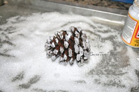 Epsom+Salt+Craft+Projects Epsom Salt Crafts, Salt Crafts, Salt Craft, Snow Effect, Diy Hack, Easy Diy Wreaths, Cones Crafts, Pine Cone Crafts, Office Crafts