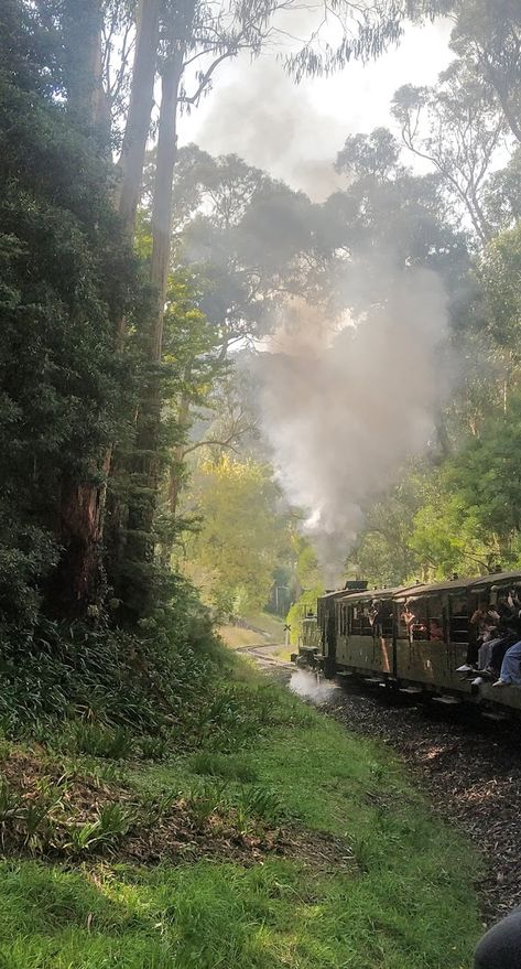 puffing billy, woods, tourism, dandenong, melbourne, australia, travel, tourist, holiday, aesthetic, nature, train, steam train, friends Steam Train Aesthetic, Sleeper Train Aesthetic, Train Hopping Aesthetic, Old Train Aesthetic, Vintage Train Aesthetic, Trains Aesthetic, Steam Aesthetic, Railway Aesthetic, 1880s Aesthetic