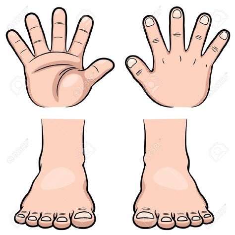 Fingers and toes Adobe Illustrator, Pie, Cartoon Hands, 1st Grade Math Worksheets, Drawing Cartoon, 1st Grade Math, Math Worksheets, 1st Grade, Png Images