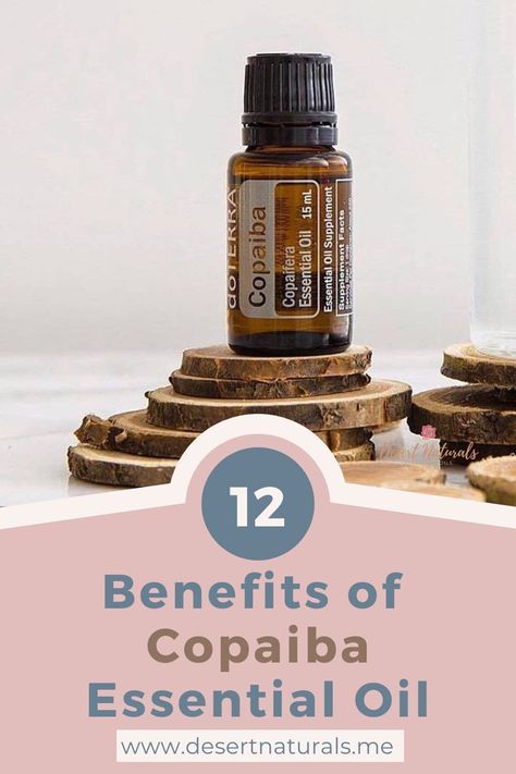 Copaiba Essential Oil Benefits, Doterra Copaiba, Copaiba Oil, Copaiba Essential Oil, Esential Oils, Essential Oils For Pain, Doterra Essential Oils Recipes, Essential Oils For Massage, Essential Oils Health