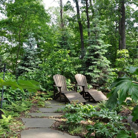 Design School: Creating Shady Garden Nooks – Grow Beautifully Garden Nooks, Shady Garden, Shade Garden Design, House Cast, Garden Nook, Climbing Hydrangea, Leafy Plants, Shade Trees, Woodland Garden