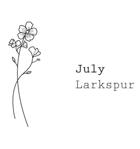 Small Larkspur Tattoo Simple, Larkspur Line Tattoo, July Birth Flower Tattoo Simple, Fineline Larkspur Tattoo, Larkspur And Cosmos Tattoo, Larkspur Drawing Simple, Larkspur Flower Drawing Simple, Small Larkspur Tattoo, Larkspur Fine Line Tattoo