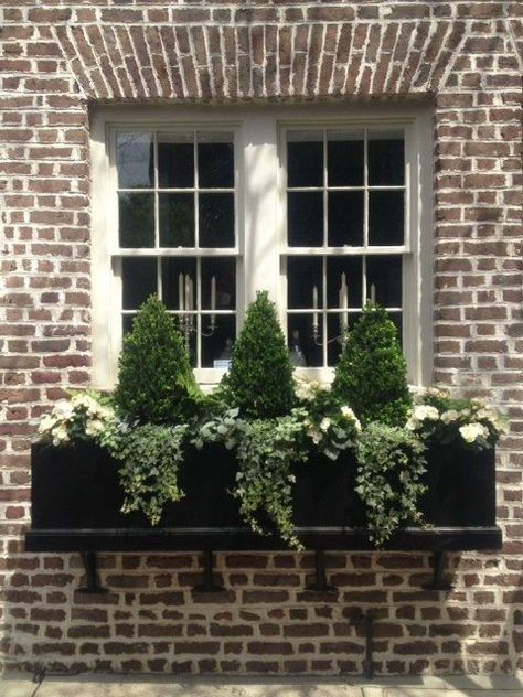 a black window box planter with greenery, white blooms and tiny trees refreshes the look at once Perineal Flowers For Window Boxes, Potting Room, Charleston Design, Window Baskets, Winter Window Boxes, Christmas Window Boxes, Fall Window Boxes, Backyard Goals, Window Planter