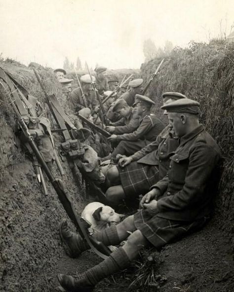 Men Of The Seaforth Highlanders Rest In A Trench With A Dog During Ww1, 1915 Fukushima, British History, Nagasaki, Ww 1, Historia Universal, The Great, German Army, British Library, British Army