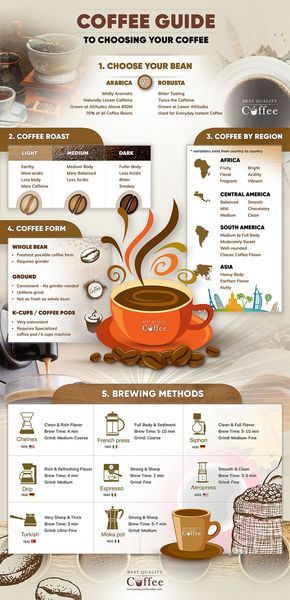 A Guide To Choosing Your Coffee Coffee Brewing Methods, Coffee Infographic, Coffee Shop Business, Coffee Guide, Aromatic Bitters, Coffee Facts, Coffee World, Coffee Menu, Healthy Liver