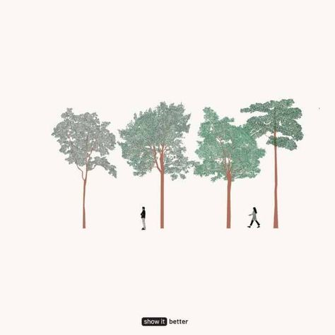 Landscape Architecture Plants, Tree Elevation, Tree Render, Tree Psd, Architectural Trees, Human Tree, Plant Drawings, Photoshop Landscape, Human Vector