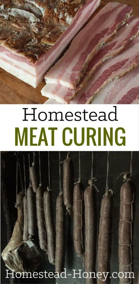 Homestead Meat Curing :: Preserving Meat with Traditional Methods | Homestead Honey Preserve Meat, Preserving Meat, Meat Curing, Cured Meat Recipes, Canning Food Preservation, Homesteading Skills, Homemade Sausage, How To Make Sausage, Dehydrated Food