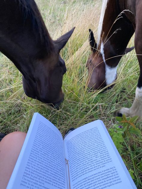 Horse. Stables. Barn. Farm. Aesthetic. Picture inspi. Ig story. Instagram. Book. Reading. Summer. Feeding Horses Aesthetic, Vision Board Horse Riding, Aesthetic Horse Pics, Horse Vision Board, Stable Hand Aesthetic, Equestrian Instagram Story, Horse Summer Aesthetic, Owning A Horse Aesthetic, Dream Horse Life