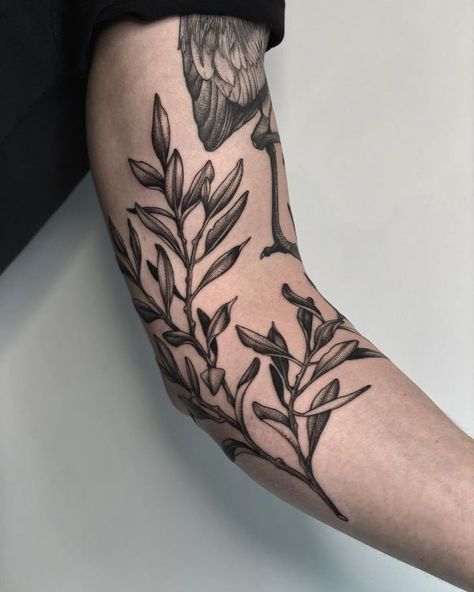 Branch Tattoo Arm Wrap, Branch Tattoo Arm, Olive Branch Tattoo Arm Wrap, Tattoo Arm Wrap, Olive Tree Tattoos, Arm Wrap Tattoo, Olive Tattoo, 9 Tattoo, Olive Branch Tattoo