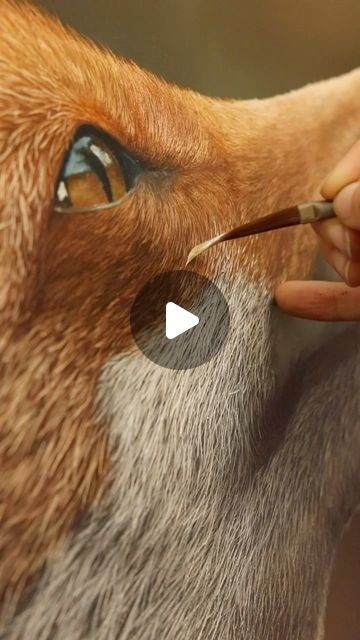 Fox Acrylic Painting Tutorial, Fox Art Drawing, Painting Ideas Animals, Painted Fox, Fox Artwork, Acrylic Tutorials, Fox Pictures, Fox Painting, Paint Inspiration