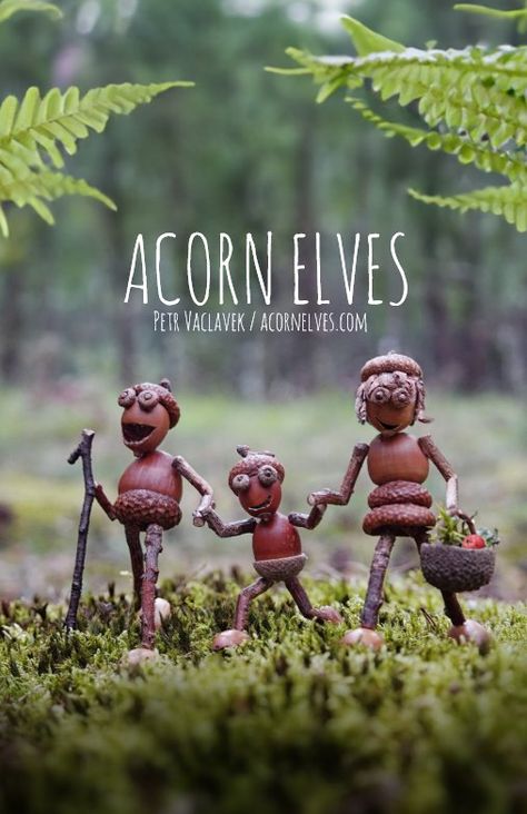 Acorn Elves / Dubanci: Designs & Collections on Zazzle Acorn People, Forest Crafts, Acorn Kids, Pine Cone Art, Acorn Crafts, Fairy Furniture, Fairy Crafts, Woodland Fairy, Diy Gnomes