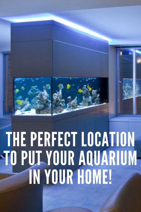 Fish are not like any other pet on earth! What makes them unique is that they live in a heavy glass rectangle filled with water. Remember: Once your aquarium is properly set up, it will need to be disassembled to move – even just a few inches. Not only is this a huge pain, but it will also stress the fish. Let's find the ideal place for your fish tank before you set it up.... #fishtank #fishaquarium #homedesign Where To Put Fish Tank In House, Large Aquarium In Living Room, Salt Water Fish Tank Ideas Living Rooms, Home Aquarium Living Rooms, Large Fish Tank Ideas, Wall Aquarium Ideas, Home Fish Tank Ideas, Aquarium Bedroom, Cleaning Fish Tank