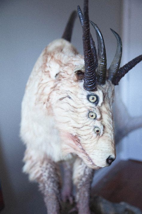 Yamada created the six-eyed, multi-horned "Heaven and Hell Monster" for the AMC cables series, Immortalized, in 2013. Sea Rabbit, Six Eyes, Mythical Beast, Heaven And Hell, Coney Island, Creature Design, Taxidermy, The Sea, Animals