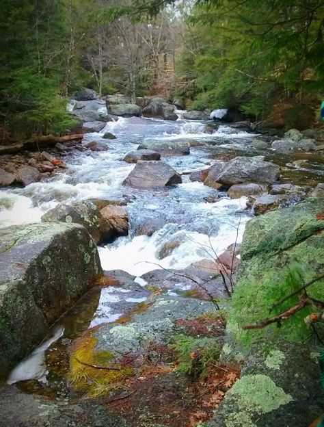 Chattahoochee River River Waterfall, Chattahoochee River, Reference Ideas, Drawing Reference, Places To Visit, Water