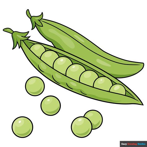 How to Draw Peas Alphabet Letters To Print, Vegetable Drawing, Plant Sketches, Pea Plant, Flower Drawing Tutorials, Easy Drawing Tutorial, Drawing Tutorials For Kids, Drawings Ideas, Drawing Tutorial Easy