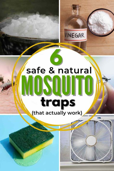 Mosquito Trap Homemade, Indoor Mosquito Trap, Mosquito Trap Diy, Mosquito Catcher, Mosquito Traps, Natural Mosquito Repellant, Mosquito Trap, Kill Mosquitos, Mosquito Control