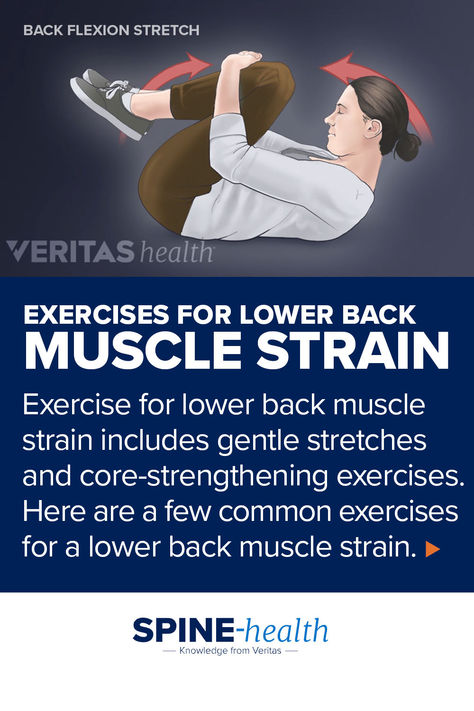 Illustration of a woman performing a flexion stretch. Exercise For Lower Back, Exercises For Lower Back, Back Muscle, Lower Body Muscles, Back Strain, Body Muscles, Core Strengthening Exercises, Lower Back Muscles, Spine Health