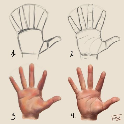 Drawing a hand step by step Made in Photoshop using a Wacom drawing tablet You can find the tutorial video on YouTube ❤ 🎄 Happy Holidays!… Drawing A Hand, Art With Flo, Hand Step By Step, Beautiful Pencil Drawings, Hands Tutorial, Draw Hands, Drawing Hands, Hand Drawing Reference, Drawing Tablet