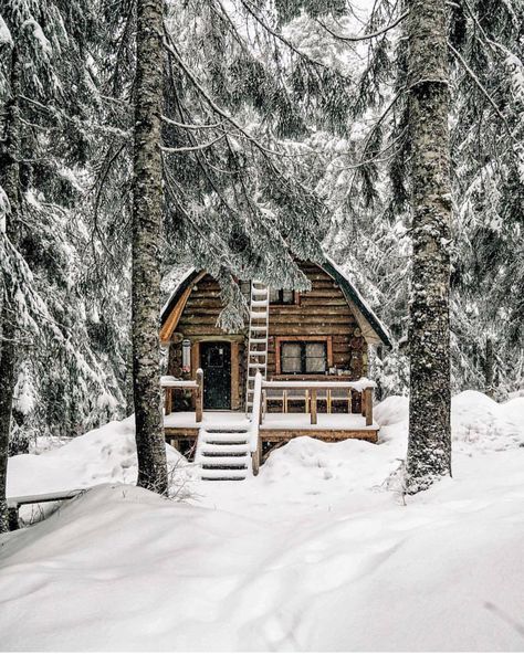 A Cabin In The Woods, Ecological House, Winter Cabin, Cabin Living, Little Cabin, Deco Boheme, A Cabin, Places In The World, Cabin In The Woods