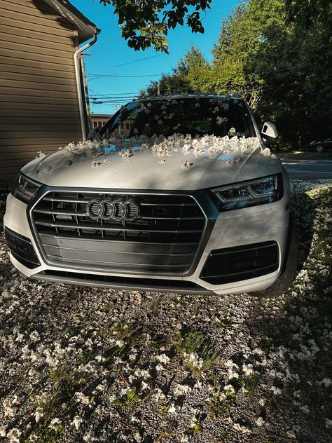 Audi Luxury, Luxury Sedans, Audi Sport, Flowers Summer, Audi Q5, Electric Vehicles, Sedans, Build Your Own, Audi