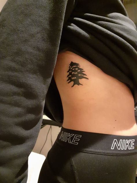 Lebanese Tattoo, Cedar Tree Tattoo, Lebanon Tattoo, Cold Tattoo, Aesthetic Places Background, Lebanese Cedar Tree, Authentic Hummus, Lebanon Tree, Lebanon Map