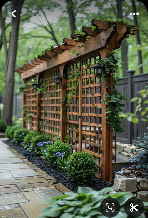 Pathway Trellis, Haveli Architecture, Fence Arbor, Wisteria Trellis, Outdoor Trellis, Garden Privacy, Backyard Privacy, Garden Trellis, Garden Structures