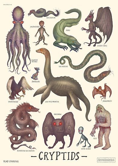 A second version of the Cryptids poster which features some of the most famous cryptid creatures of our time – the Yeti, Loch Ness Monster, Mothman and many more! All were drawn by hand and later digitally processed and arranged. • Millions of unique designs by independent artists. Find your thing. Myths & Monsters, Mythical Monsters, World Mythology, Legends And Myths, Loch Ness Monster, Mythical Beast, Mythical Creatures Art, Mythological Creatures, Arte Fantasy