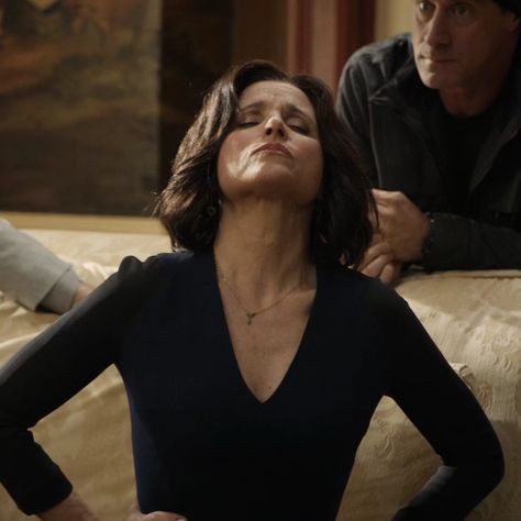 Julia Louis Dreyfus Veep, Selina Meyer, Elaine Benes, Julia Louis Dreyfus, Seinfeld, Best Actress, Tv Shows, Actresses, Screen