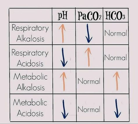 Arterial Blood Gases Cheat Sheets, Nicu Nurse Education, Blood Gas Interpretation, Nursing Management, Nursing School Life, Instagram Learning, Veterinary Tech, Body Facts, Arterial Blood Gas