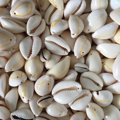 LB Beads on Instagram: “Cowrie shells...... let’s see what I come up with 🤔 #shells #cowrieshells #artjewellery #jewelrydesigner #jewellerymaker #jewellerylover…” Cowrie Shell Aesthetic, Cowrie Shell Jewelry, I Love Being Black, Cowry Shell, Graduation 2024, African Inspired Clothing, Cowrie Shells, 2024 Design, African Beads