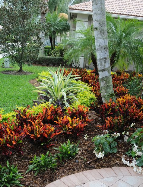 Tropical Backyard Landscaping, Tropical Landscape Design, Landscape Curbing, Florida Landscaping, Tropical Backyard, Florida Gardening, Front Landscaping, Low Maintenance Landscaping, Landscape Design Plans