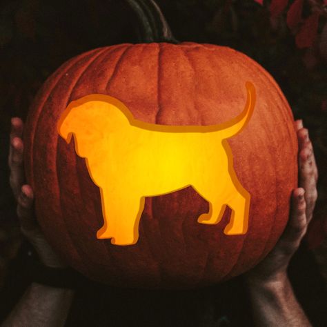 We love our dogs so why not showcase them on your jack-o-lantern this year! This easy stencil features an adorable pup. Printable JPG consists of 1 easy pumpkin carving stencil. If you like this stencil, check out the other pumpkin carving stencil sets from The Printed Pig Workshop. All Stencils: https://www.etsy.com/shop/PrintedPigWorkshop?ref=seller-platform-mcnav&section_id=16027420 Dog Faces Series: Corgi https://www.etsy.com/listing/743446029/2019-exclusive-printable-pumpkin-carving?ref=sho Dog Carving Pumpkin, Puppy Pumpkin Carving, Puppy Silhouette, Pumpkin Carving Pattern, Pumpkin Carving Stencil, Halloween Pumpkin Stencils, Pumkin Carving, Dog Faces, Dog Pumpkin