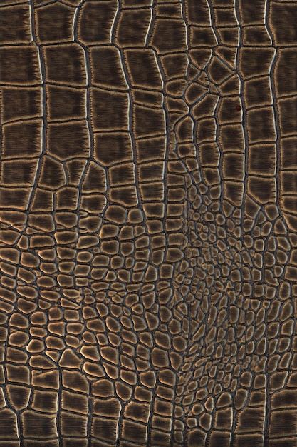 Brown leather 47 | Premium Photo #Freepik #photo #snakeskin #lizard-skin #snake-skin #animal-skin Cameron Core, Lizard Skin, Snake Leather, Crocodile Skin, Brown Belt, Leather Texture, Animal Skin, John Galliano, Fashion Sketches