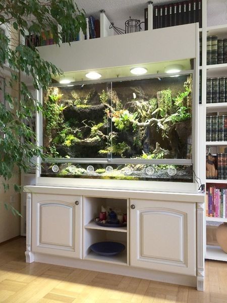 Tartaruga Habitat, Large Fish Tank, Snake Cages, Diy Reptile, Snake Terrarium, Bearded Dragon Terrarium, Bearded Dragon Enclosure, Bearded Dragon Cage, Snake Enclosure