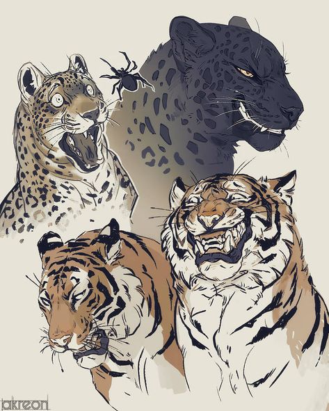 Art And Illustration, Anime Karakterek, Big Cats Art, Tiger Art, Arte Animal, Animal Sketches, Arte Fantasy, 영감을 주는 캐릭터, Cat Drawing