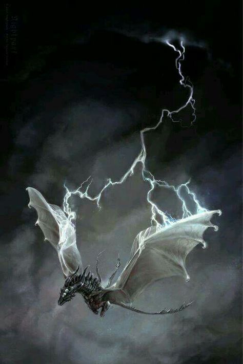 Dragon in the storm Lightning Dragon, Dragon Flying, Cool Dragons, 다크 판타지, Dragon Rider, Dragon Pictures, White Dragon, Fantasy Creatures Art, Dragon Artwork