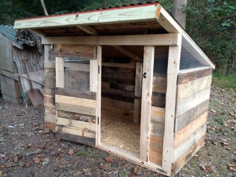 Chicken House Diy, Pallet Chicken Coop, Pallet Coop, Chicken Coop Pallets, Easy Chicken Coop, Chicken Barn, Portable Chicken Coop, Chicken Pen, Diy Chicken Coop Plans