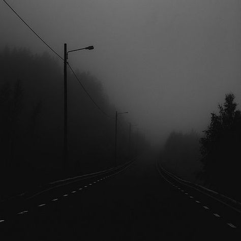 Atmospheric Photography, Paradis Sombre, Dark Naturalism, Foggy Weather, Foggy Forest, Dark Paradise, 다크 판타지, Street Lights, Gray Aesthetic