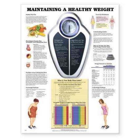 Maintaining A Healthy Weight Chart Healthy Weight Charts, Pop By, 5 Weeks Pregnant, Anatomy Poster, Nutrition Chart, Weight Charts, Low Carbohydrate Diet, Healthy Diet Plans, Lose 50 Pounds