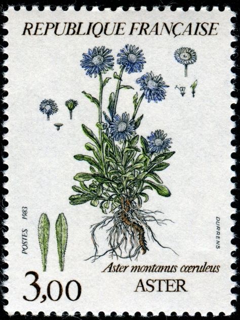 Show Us Your Beautiful Flowers on Stamps! - Stamp Community Forum - Page 16 Vintage Stamps Postage, Cream Tattoo, طوابع بريد, Postage Stamp Design, Postcard Stamps, Postage Stamp Art, Vintage Postage Stamps, Vintage Postage, Post Stamp