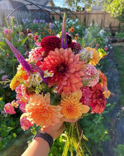 Dahlia And Peony Bouquet, Dalia Wedding Bouquet, Field Flowers Bouquet, Field Flowers, Boquette Flowers, Peonies Bouquet, Flower Bouquet Wedding, Flower Field, Dahlia