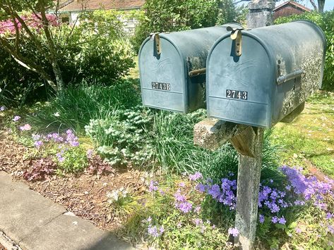 cottagecore flowers aesthetic mailbox plants plant aesthetic Mailbox Aesthetic, Mailbox Plants, Cottagecore Flowers, Letter To Yourself, Plant Aesthetic, Mailbox, Outdoor Decor, Plants