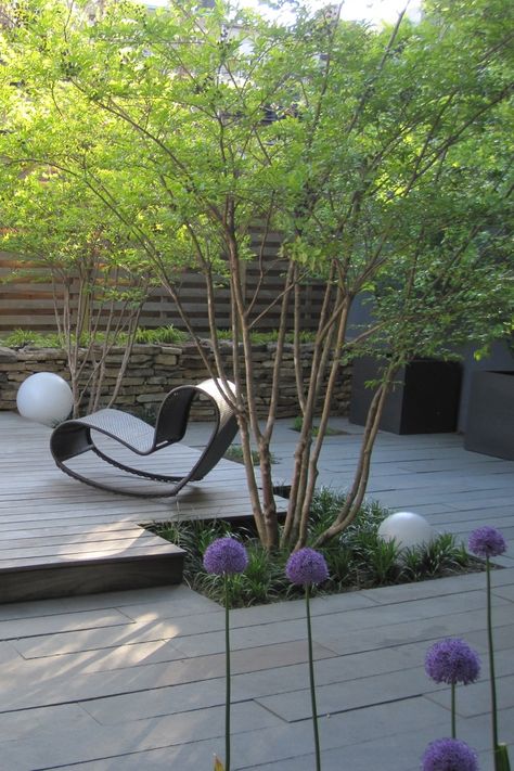 Trees for a Contemporary Garden | Olander Garden Design Patio Chico, Contemporary Garden Design, Courtyard Gardens Design, Lake Side, Have Inspiration, Contemporary Garden, Garden Elements, Shade Trees, Courtyard Garden