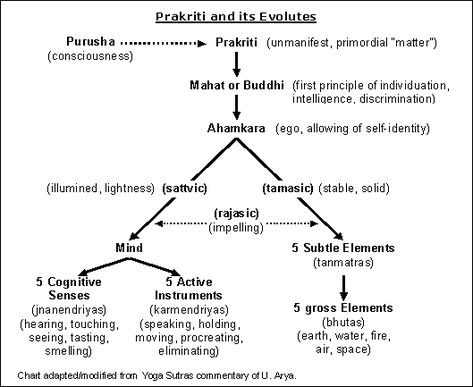 Purusha And Prakriti, Gunas Yoga, Sankhya Philosophy, Sankhya Yoga, Divine Consciousness, Sri Sri Ravi Shankar, What Is Yoga, Indian Philosophy, Yoga Sutras